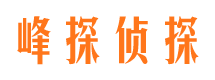 嘉荫市私家侦探